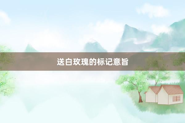送白玫瑰的标记意旨