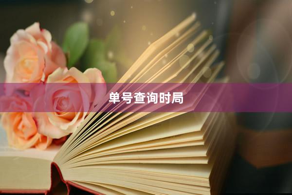 单号查询时局